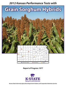 Grain Sorghum Hybrids 2012 Kansas Performance Tests with Report of Progress 1077