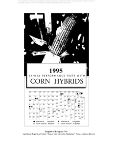 CORN HYBRIDS 1995