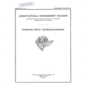 TOMATO  WILT  INVESTIGATIONS Historical Document Kansas Agricultural Experiment Station