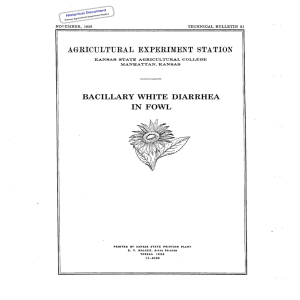 BACILLARY  WHITE  DIARRHEA IN  FOWL Historical Document