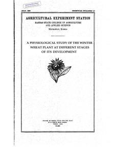 A PHYSIOLOGICAL STUDY OF THE WINTER WHEAT PLANT AT DIFFERENT STAGES