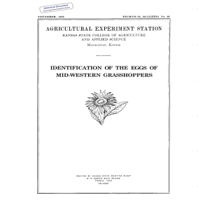 IDENTIFICATION  OF  THE  EGGS  OF Historical Document