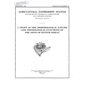 OF STUDY OF  THE  MORPHOLOGICAL  NATURE A