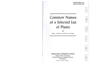 [ of a of Common  Names
