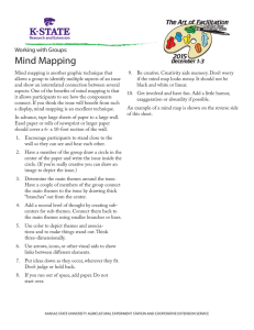 Mind Mapping Working with Groups: