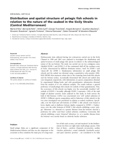 Distribution and spatial structure of pelagic fish schools in