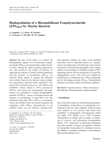 Biodegradation of a Bioemulsificant Exopolysaccharide (EPS ) by Marine Bacteria 2003