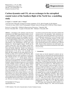 Carbon dynamics and CO air-sea exchanges in the eutrophied