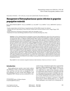 Management of Botryosphaeriaceae species infection in grapevine propagation materials Phytopathologia Mediterranea