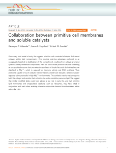 Collaboration between primitive cell membranes and soluble catalysts ARTICLE Katarzyna P. Adamala