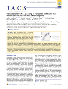 Bidirectional Direct Sequencing of Noncanonical RNA by Two-