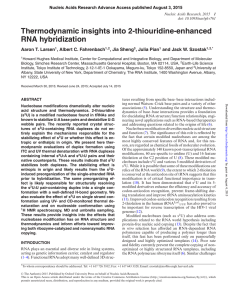 Thermodynamic insights into 2-thiouridine-enhanced RNA hybridization Aaron T. Larsen , Albert C. Fahrenbach