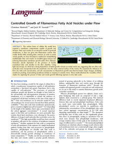 Controlled Growth of Filamentous Fatty Acid Vesicles under Flow Christian Hentrich *