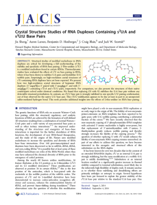 Crystal Structure Studies of RNA Duplexes Containing s U:A and s