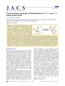 ′−5′ and 2′−5′ The Free Energy Landscape of Pseudorotation in 3 *