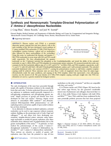 Synthesis and Nonenzymatic Template-Directed Polymerization of ′-Amino-2′-deoxythreose Nucleotides 2 *