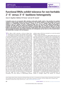 Functional RNAs exhibit tolerance for non-heritable 29–59 versus 39–59 backbone heterogeneity *