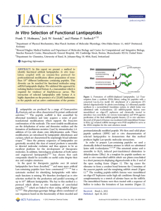 In Vitro Selection of Functional Lantipeptides Frank T. Hofmann, Jack W. Szostak, *