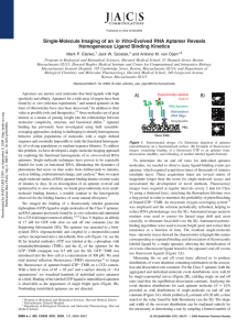 in Vitro Homogeneous Ligand Binding Kinetics Mark P. Elenko, Jack W. Szostak,