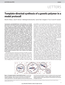 LETTERS Template-directed synthesis of a genetic polymer in a model protocell