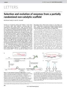 LETTERS Selection and evolution of enzymes from a partially randomized non-catalytic scaffold