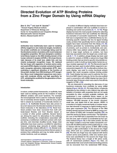 Directed Evolution of ATP Binding Proteins