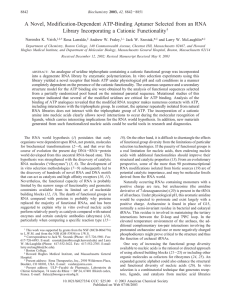 A Novel, Modification-Dependent ATP-Binding Aptamer Selected from an RNA