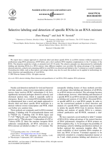 Selective labeling and detection of speciﬁc RNAs in an RNA... Zhen Huang and Jack W. Szostak