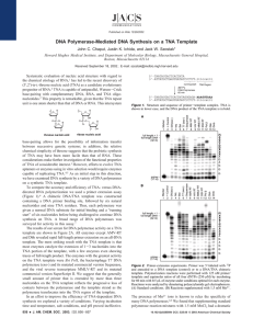 DNA Polymerase-Mediated DNA Synthesis on a TNA Template