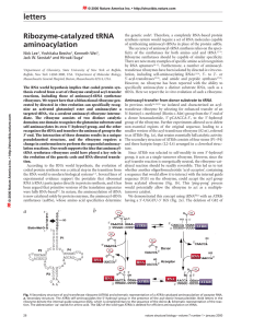 letters Ribozyme-catalyzed tRNA