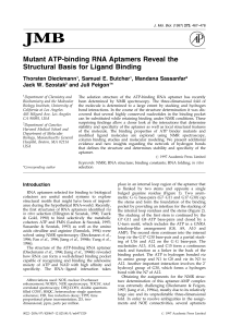 Mutant ATP-binding RNA Aptamers Reveal the Structural Basis for Ligand Binding