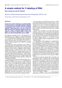 A simple method for 3 -labeling of RNA ′