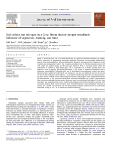 Soil carbon and nitrogen in a Great Basin pinyon–juniper woodland: