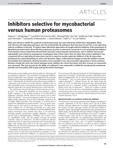 ARTICLES Inhibitors selective for mycobacterial versus human proteasomes