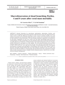Macrobioerosion of dead branching Porites, O