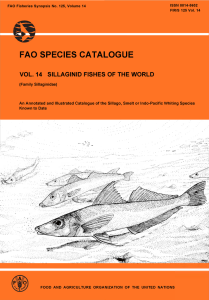 FAO SPECIES CATALOGUE