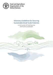 Voluntary Guidelines for Securing Sustainable Small-Scale Fisheries and Poverty Eradication