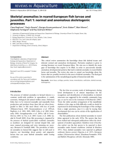 Skeletal anomalies in reared European fish larvae and