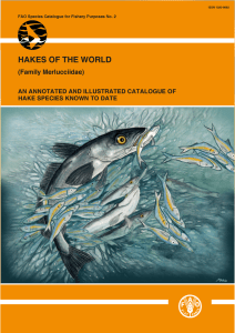 HAKES  OF THE WORLD (Family  Merlucciidae)