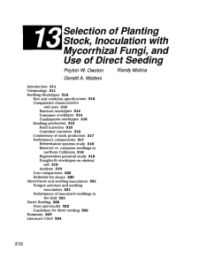 13 Selection of Planting Stock, Inoculation with Mycorrhizal Fungi, and