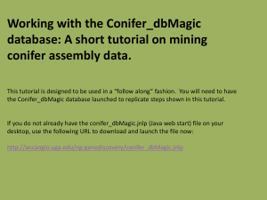 Working with the Conifer_dbMagic database: A short tutorial on mining