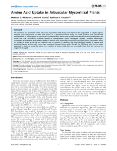 Amino Acid Uptake in Arbuscular Mycorrhizal Plants Matthew D. Whiteside