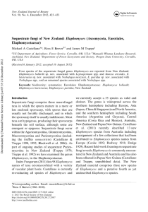 Sequestrate fungi of New Zealand: Elaphomyces (Ascomycota, Eurotiales, Elaphomycetaceae) Michael A Castellano