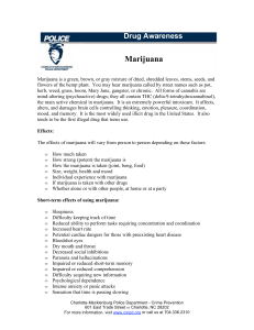 Marijuana Drug Awareness