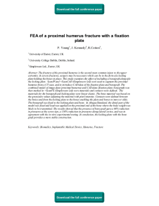 FEA of a proximal humerus fracture with a fixation plate P. Young