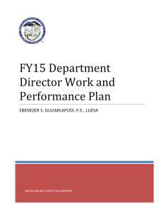 FY15 Department Director Work and Performance Plan