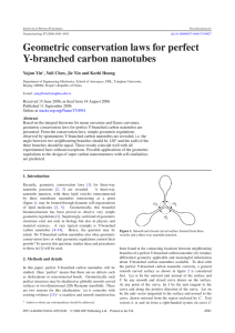 Geometric conservation laws for perfect Y-branched carbon nanotubes Yajun Yin