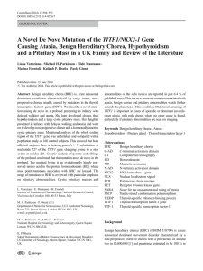 TITF1/NKX2-1 Gene A Novel De Novo Mutation of the