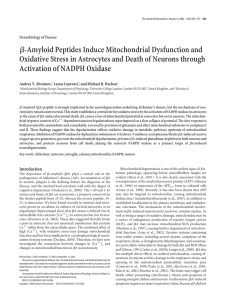 -Amyloid Peptides Induce Mitochondrial Dysfunction and Activation of NADPH Oxidase