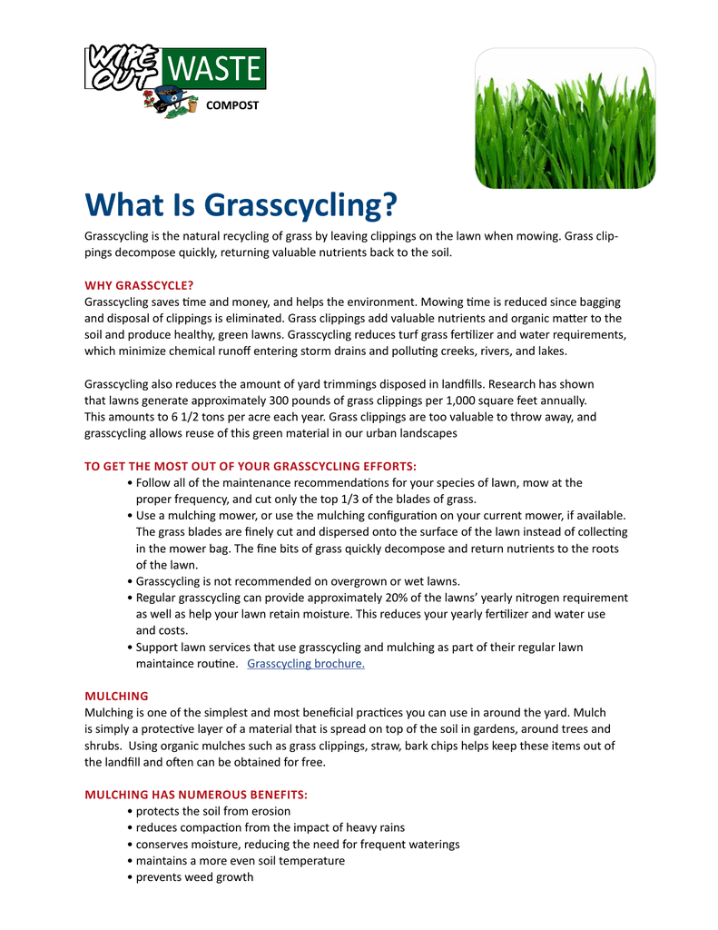 What Is Grasscycling,Rotisserie Chicken Recipes